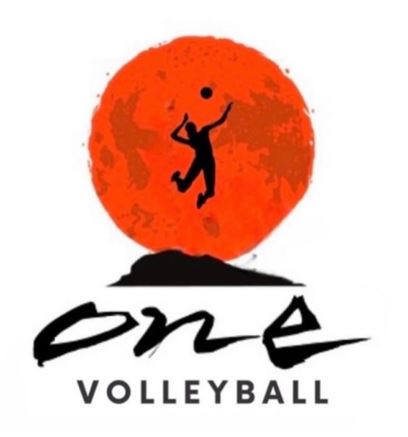One Volleyball Japan logo